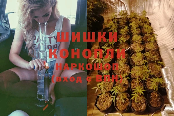 mix Гусиноозёрск