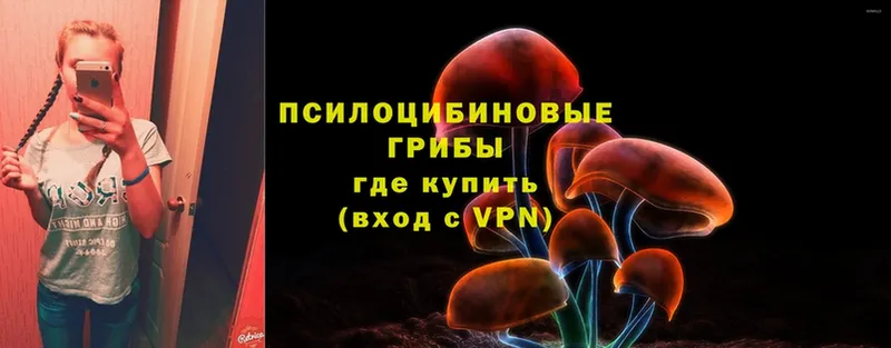 блэк спрут ССЫЛКА  Никольское  Галлюциногенные грибы Cubensis 